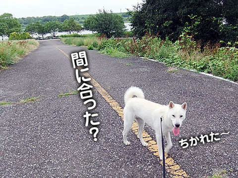2011072913