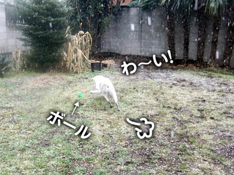 2011021301