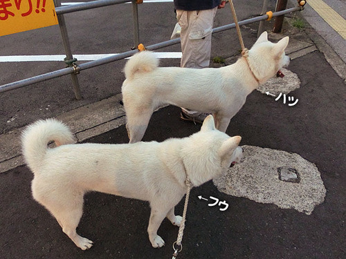 38b31a63.jpg