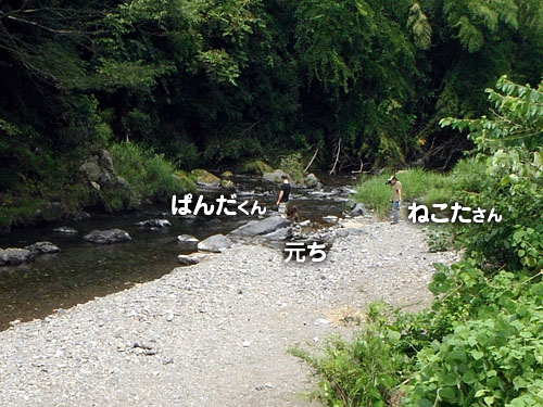 38bd77c9.jpg