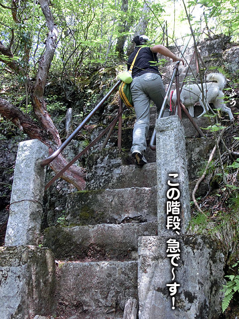 2014062111