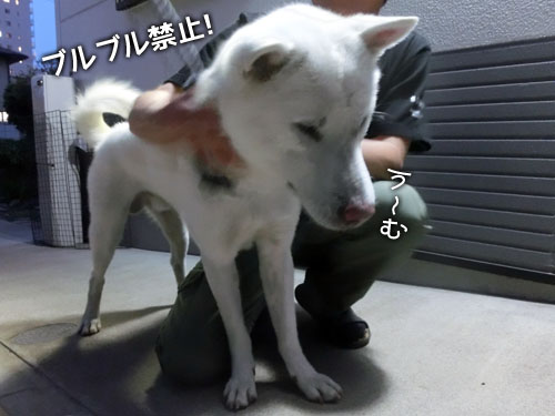 2014051202