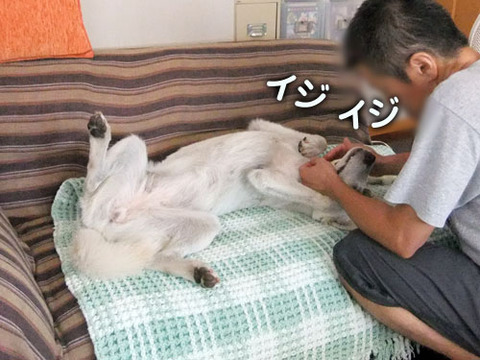 2011071803
