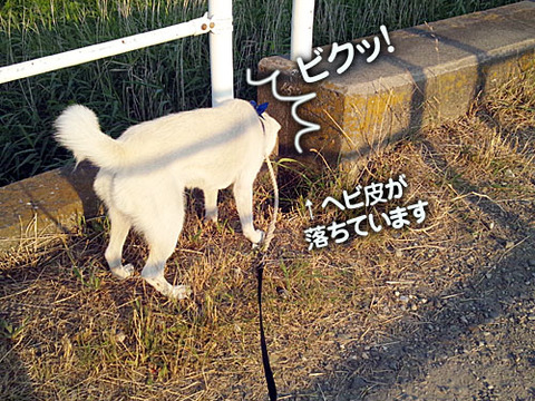 2011071605