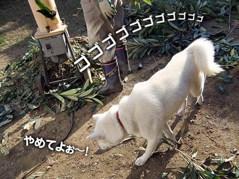 2011110104
