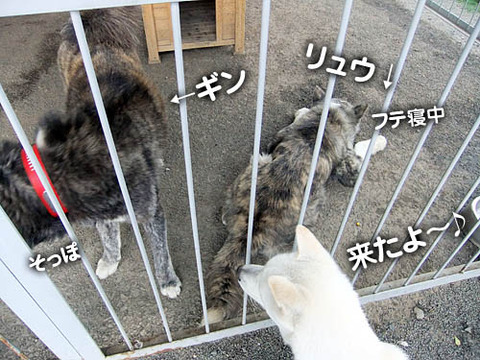 2011051508