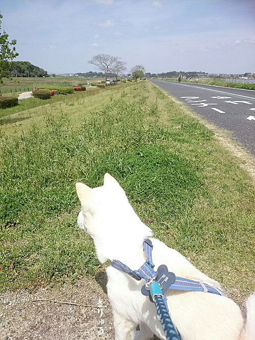 2016043005
