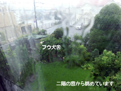 2014081001