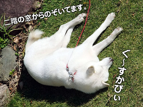 2011112604