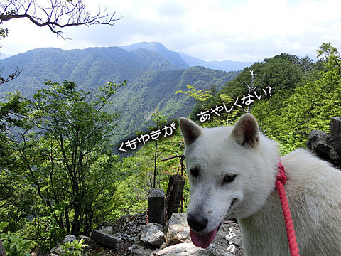 2014062119