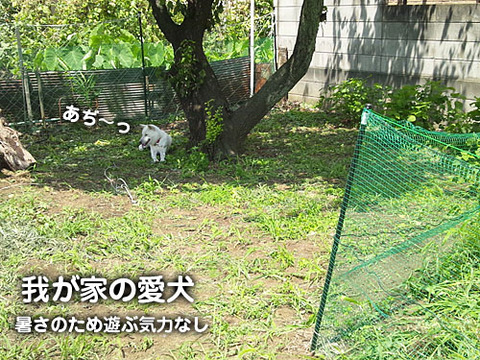 2011080802