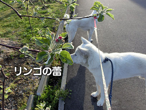 2013042407