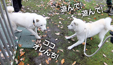 2010111704