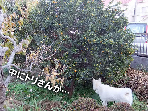 2010122901