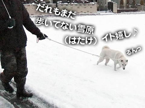 2011021505
