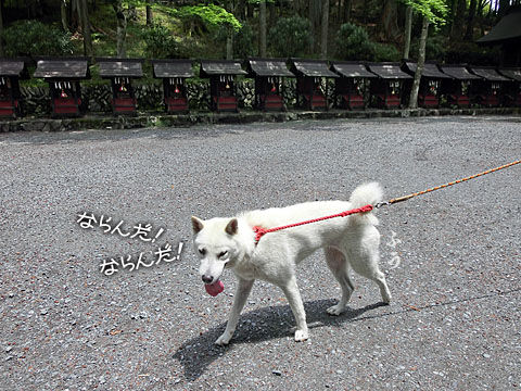 2014062210