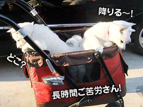 2011021306