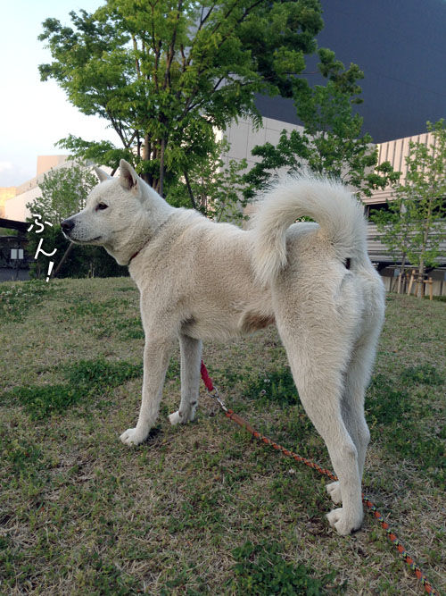 2014050804