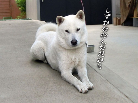 2013052803