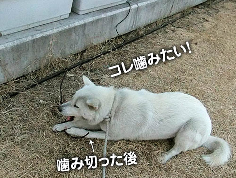 2011020602