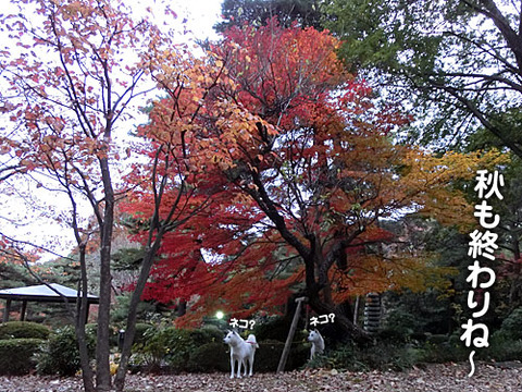 2012112912