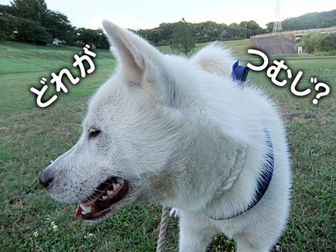2011071406