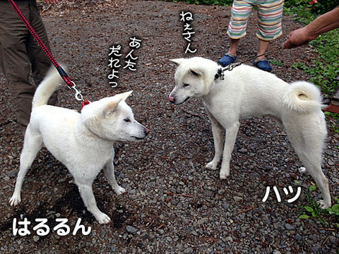 2013061815