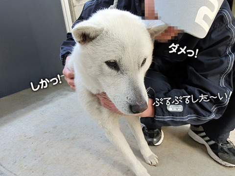 2013041107