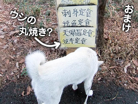 2011020909