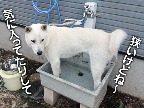 2011070203