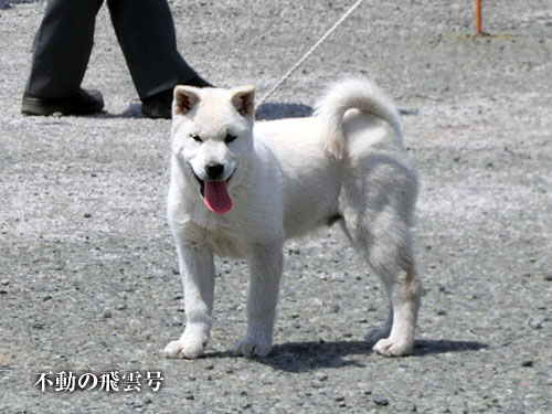 2014043001