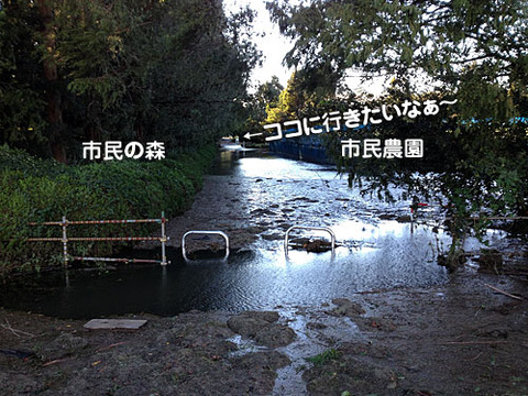 2013101718