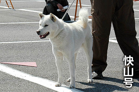 2011031401