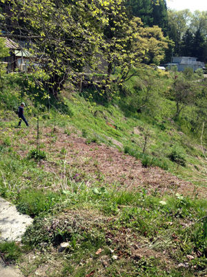 2013051904