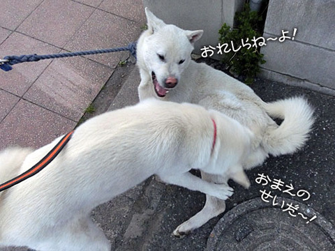 2013041708