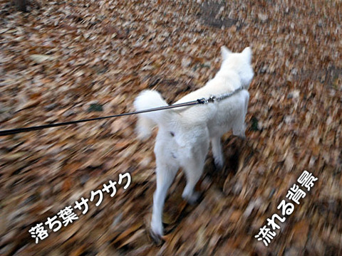 2011120802