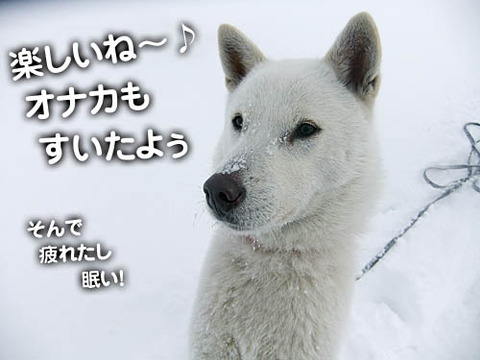 2011011716