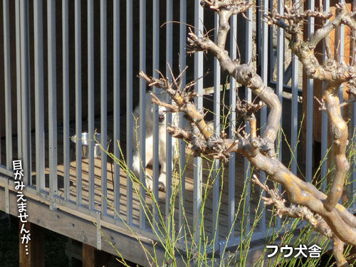 2014032402
