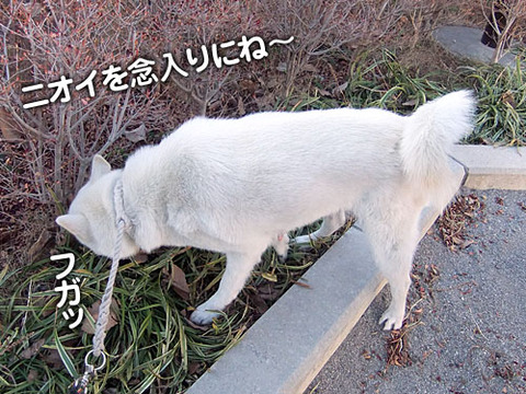 2011122802