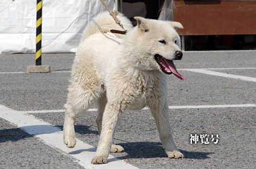 2014031101