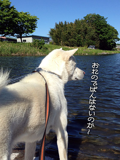 2013051301