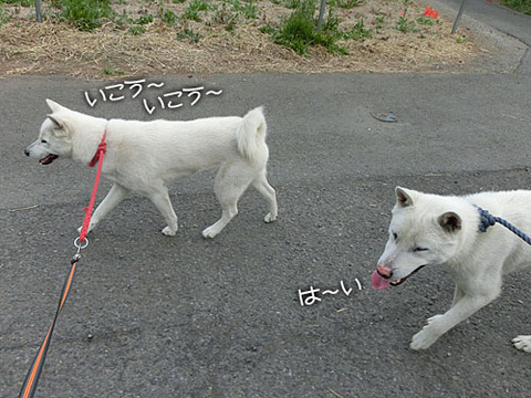 2013041701
