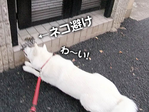 2010120608