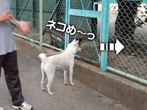 2011081502