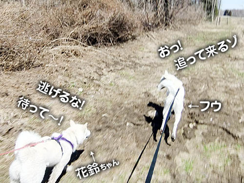 2011041814