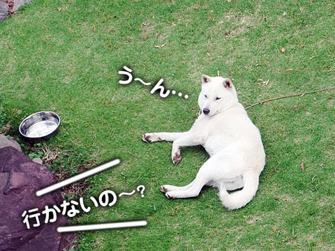 2011060303