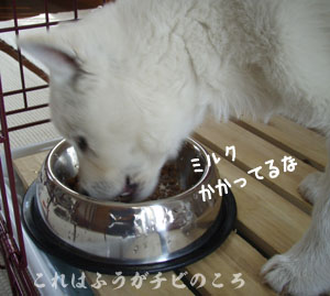 2016062508