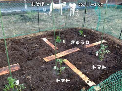 2015052302