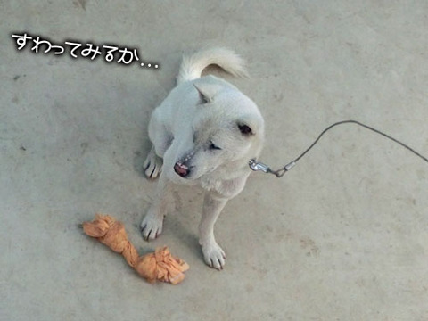 2013062205