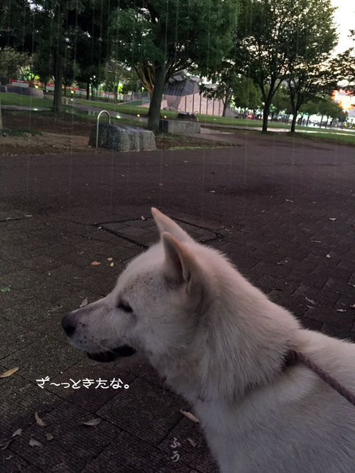 2016080901